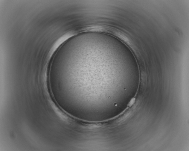 X0000114091426200910191553
