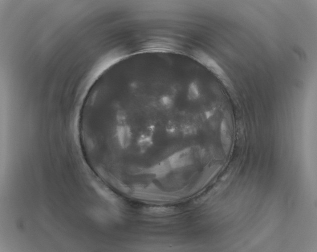 X0000114091427200910191553