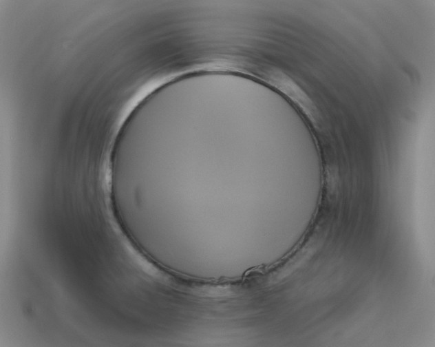 X0000114091428200910191553