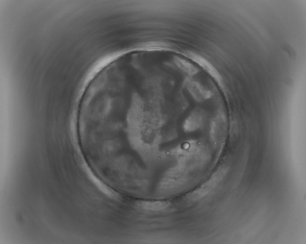 X0000114091429200910191553