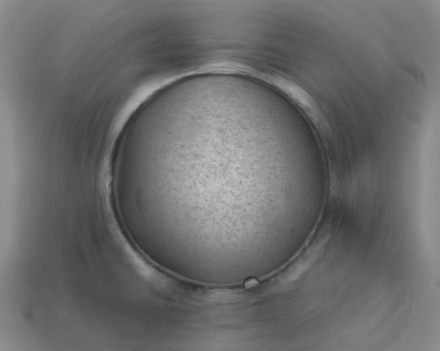 X0000114091430200910191553