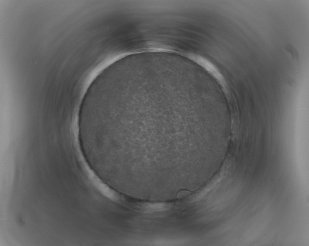 X0000114091431200910191554