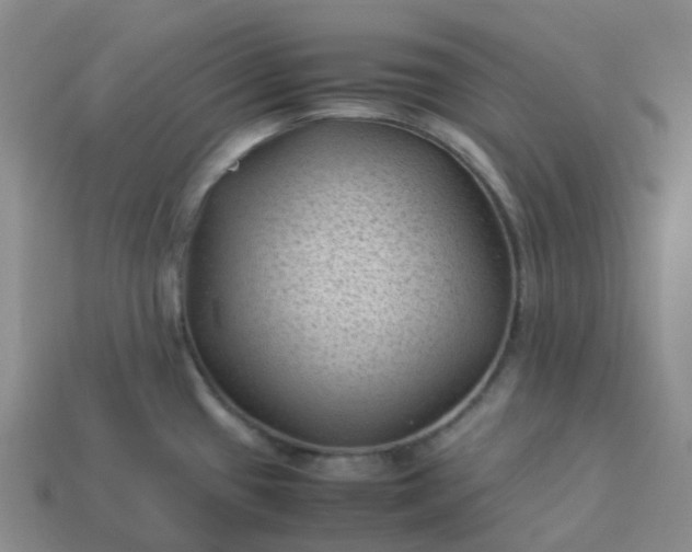 X0000114091433200910191554
