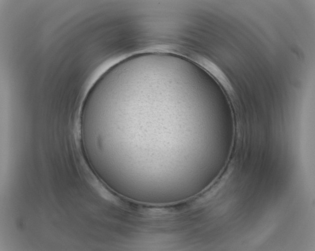 X0000114091436200910191554