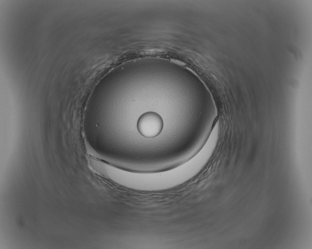 X0000114091441200910191553