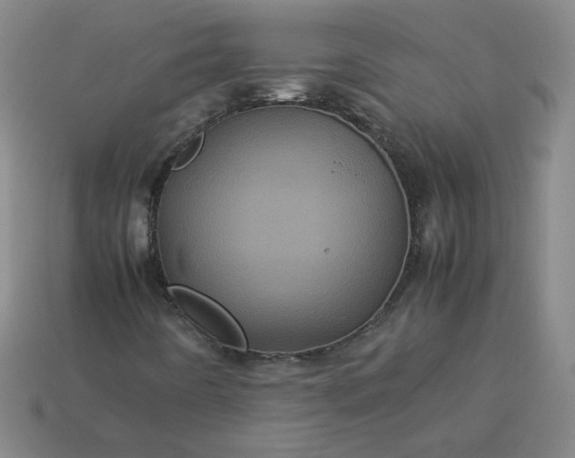 X0000114091442200910191553