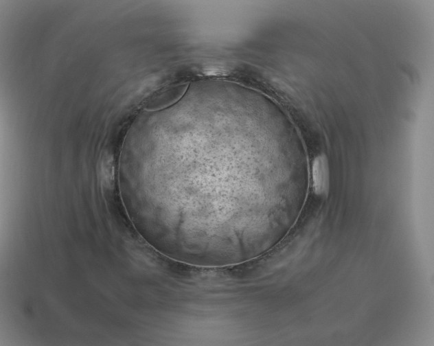 X0000114091443200910191553