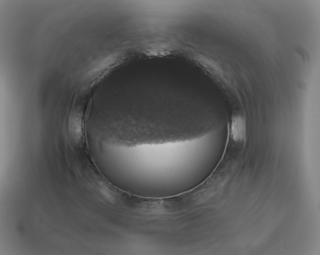 X0000114091444200910191553