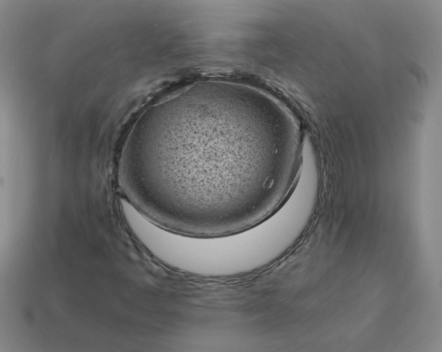 X0000114091445200910191553