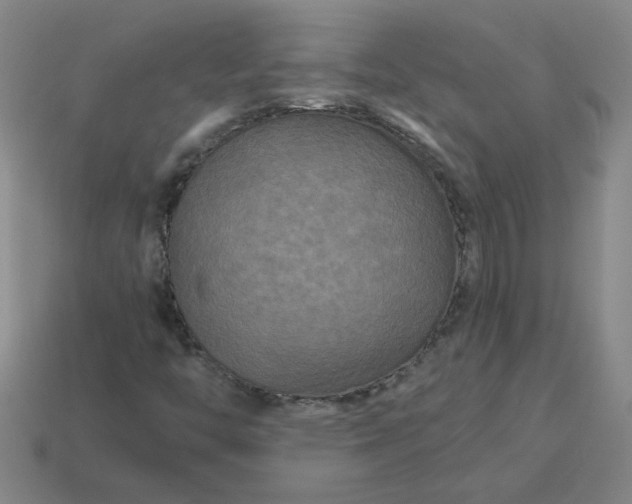 X0000114091446200910191553