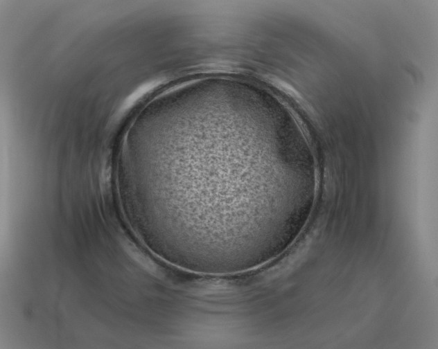 X0000114091450200910191553