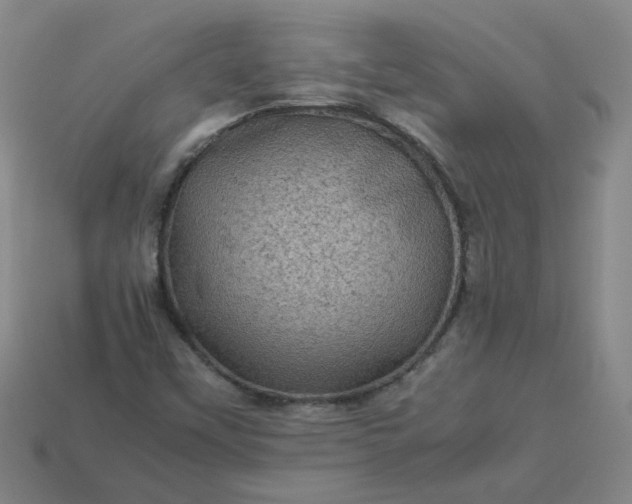 X0000114091451200910191553