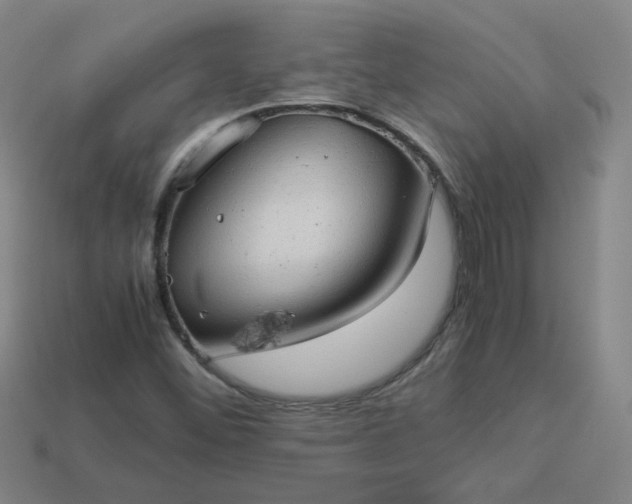 X0000114091452200910191553