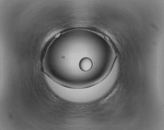 X0000114091453200910191553