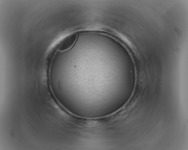 X0000114091456200910191553