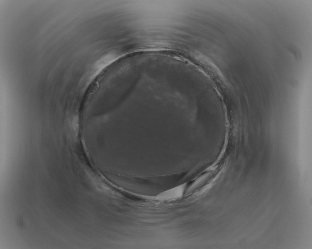 X0000114091457200910191553