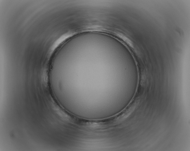 X0000114091458200910191553