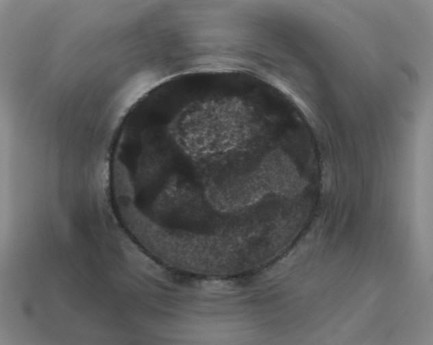 X0000114091459200910191553