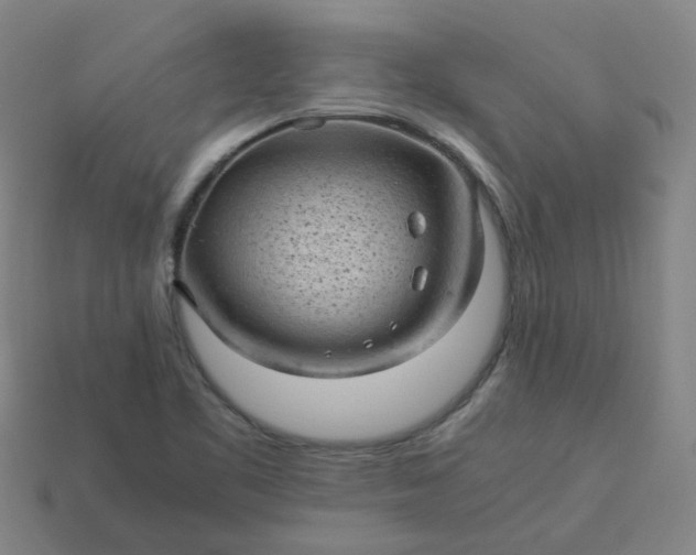 X0000114091461200910191553