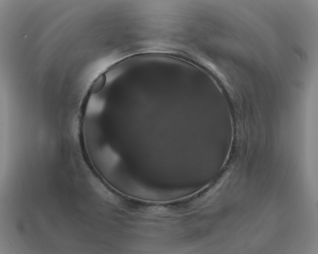 X0000114091463200910191553