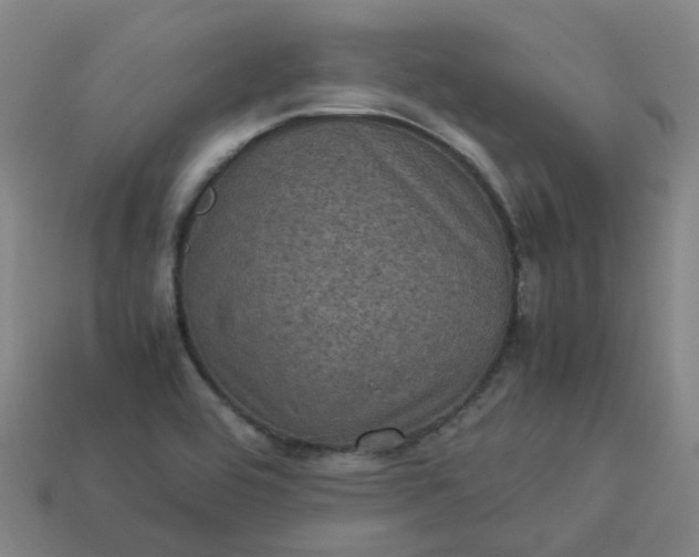 X0000114091464200910191553