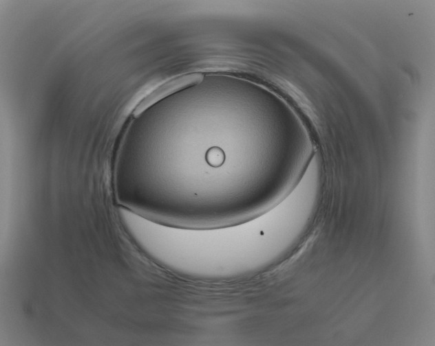 X0000114091465200910191553