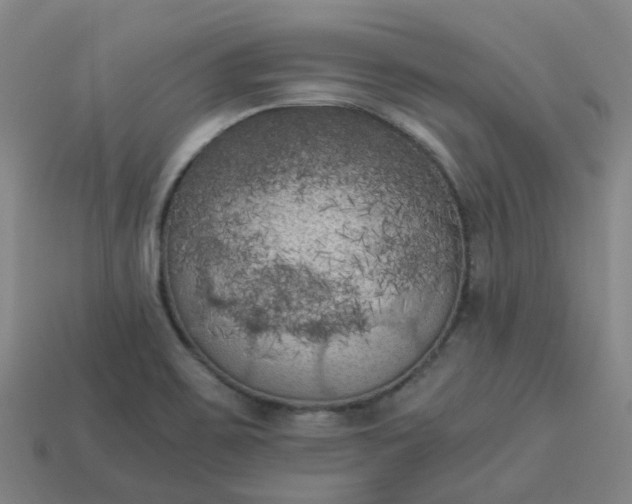 X0000114091467200910191553