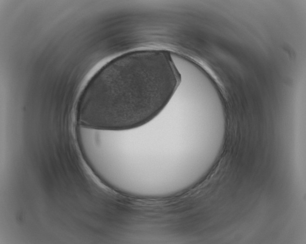 X0000114091468200910191553
