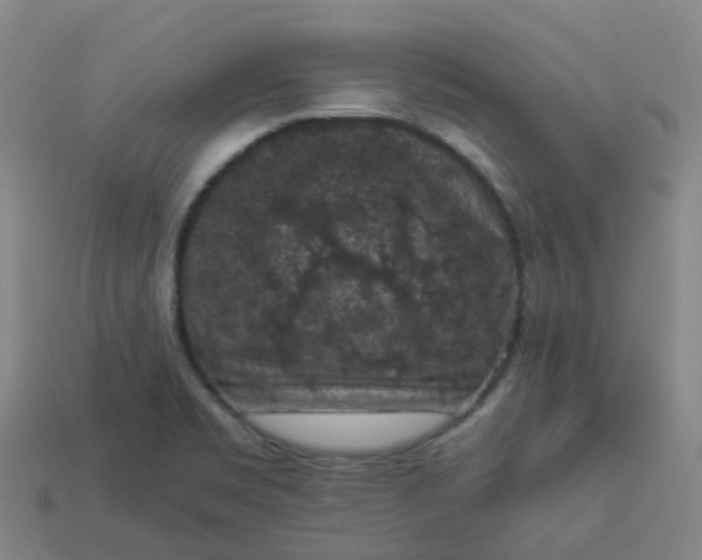 X0000114091469200910191553