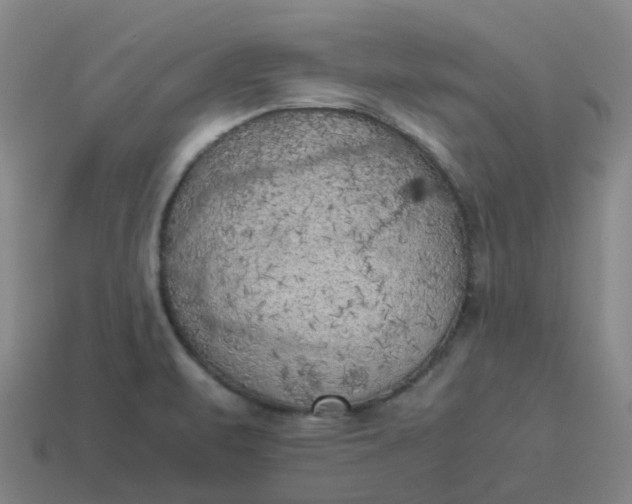 X0000114091471200910191553
