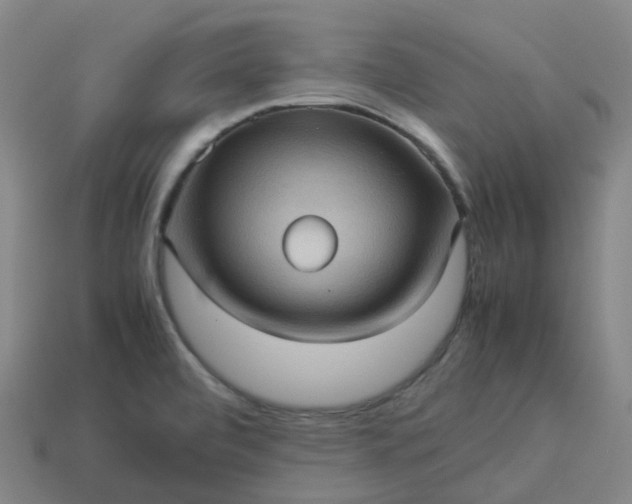X0000114091472200910191553