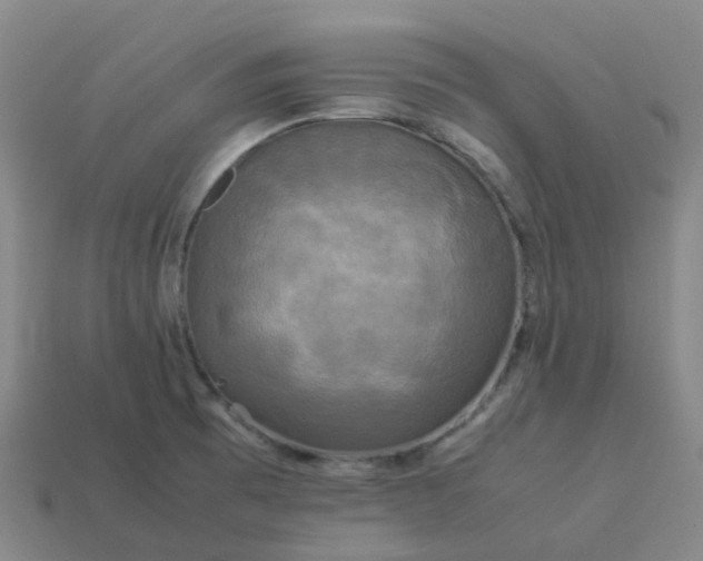 X0000114091473200910191553