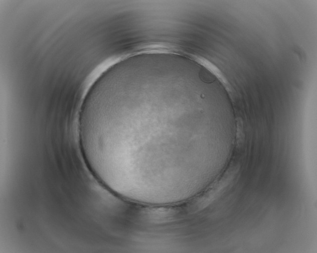 X0000114091474200910191553