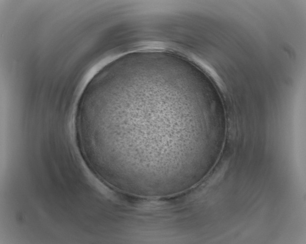 X0000114091475200910191553