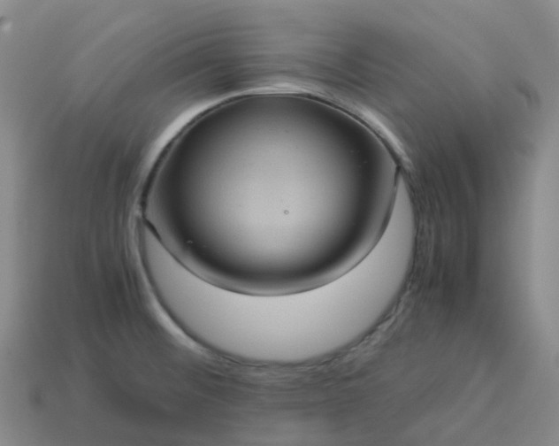 X0000114091476200910191553