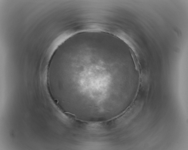 X0000114091477200910191553