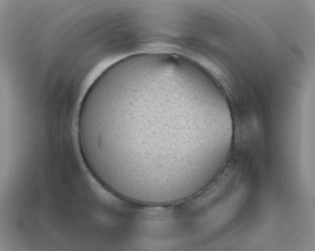 X0000114091478200910191553