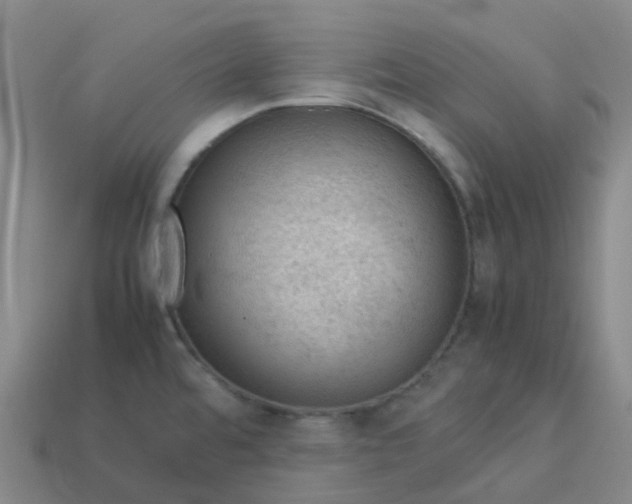 X0000114091480200910191553