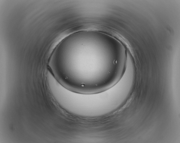 X0000114091481200910191552
