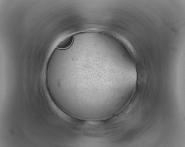 X0000114091483200910191552