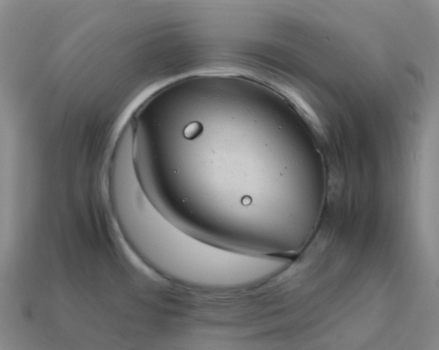 X0000114091484200910191552