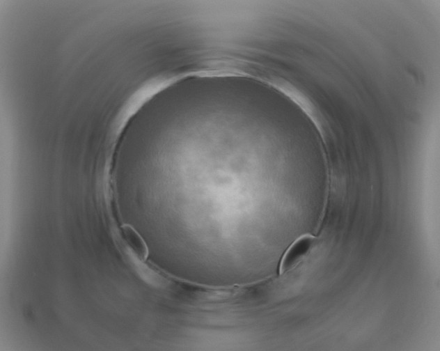 X0000114091485200910191552