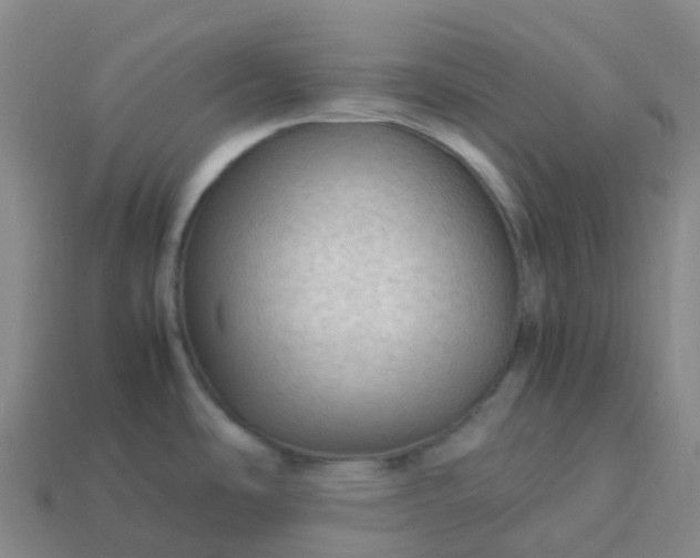X0000114091486200910191552