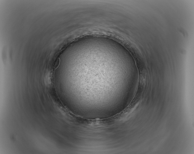 X0000114091490200910191552