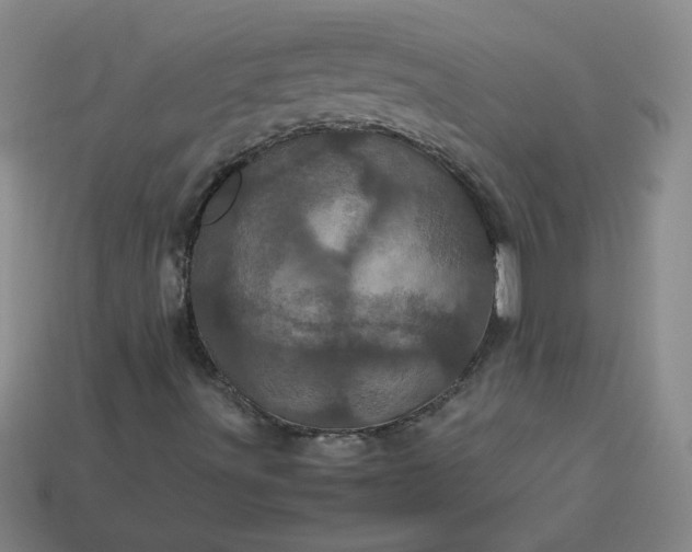 X0000114091491200910191552