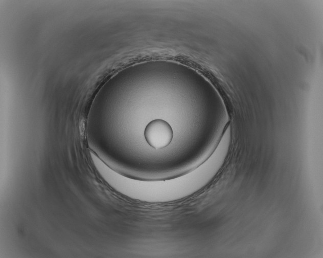 X0000114091492200910191552