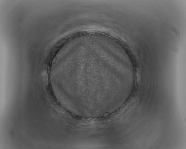 X0000114091493200910191552