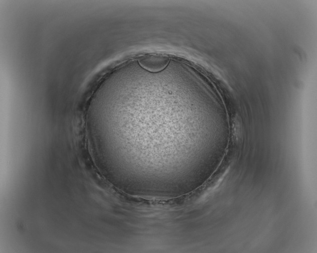 X0000114091494200910191552