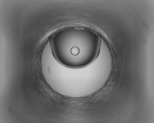 X0000114091496200910191552
