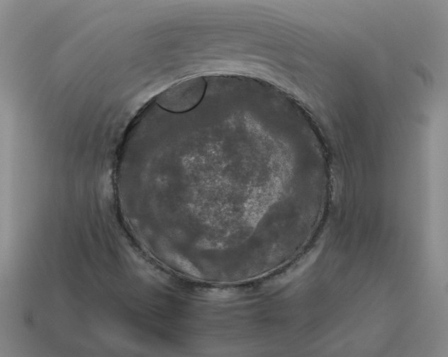 X0000114091497200910191552
